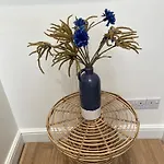Gorgeous Little Gem