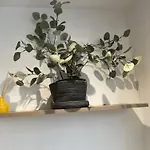 Gorgeous Little Gem